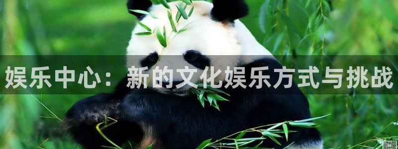 蓝图娱乐平台主管：娱乐中心：新的文化娱乐方式与挑战