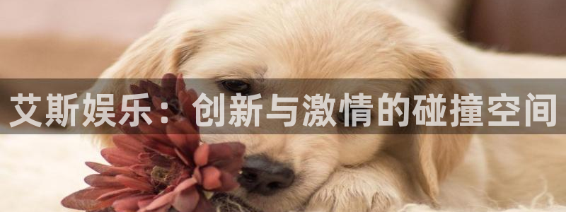 蓝图娱乐官网入口