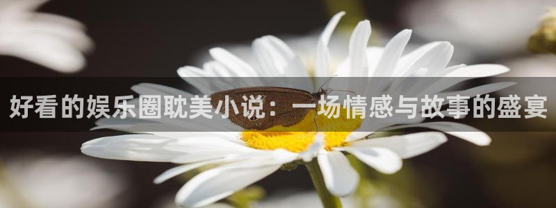 蓝图娱乐：好看的娱乐圈耽美小说：一场情感与故事的盛宴