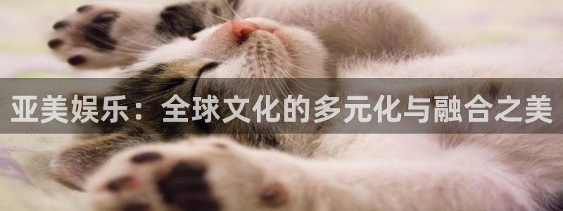 蓝图娱乐官网入口：亚美娱乐：全球文化的多元化与融合之美