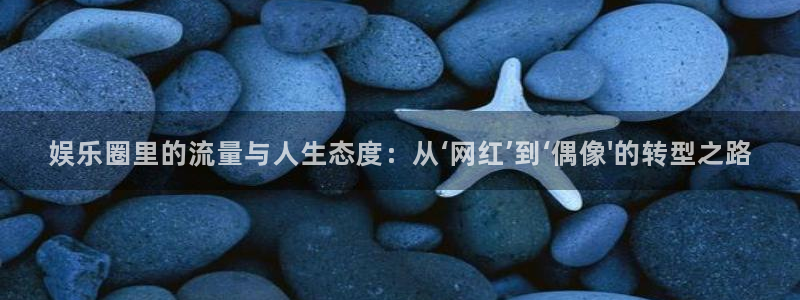 蓝图娱乐官网入口：娱乐圈里的流量与人生态度：从‘网红’到‘偶像\'的转型之路