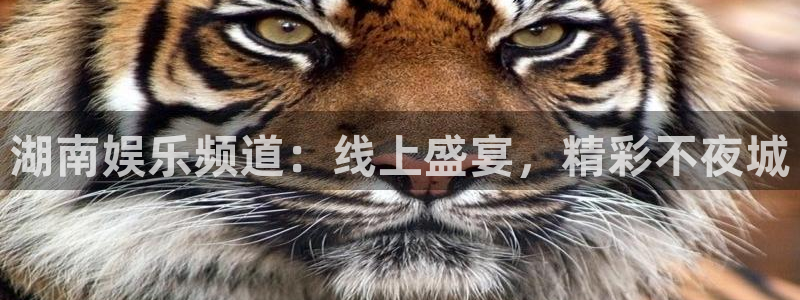 蓝图娱乐平台主管：湖南娱乐频道：线上盛宴，精彩不夜城